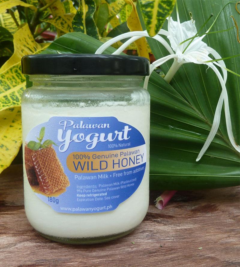 WILD HONEY Yogurt - Palawan Milk - 9% Pure Honey